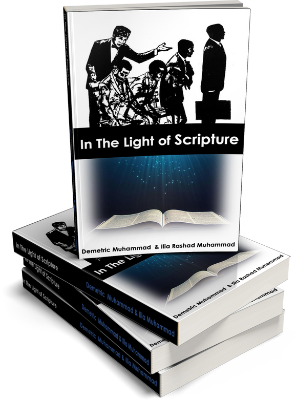 In The Light of Scripture -BULK DISCOUNTS AVAILABLE-FREE SAMPLE AVAILABLE